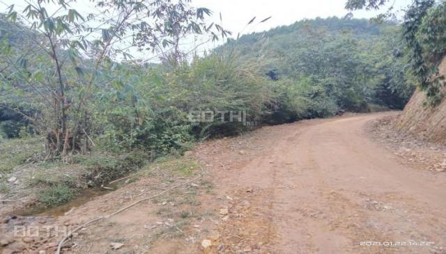 Bán gấp 2,3ha đất rừng sản xuất, thực tế hơn 3ha tại Cao Sơn, Lương Sơn