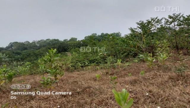 Bán đất Lương Sơn gần 2800m2 view cánh đồng, gần sân golf giao thông thuận tiện giá chỉ hơn 1 tr/m2