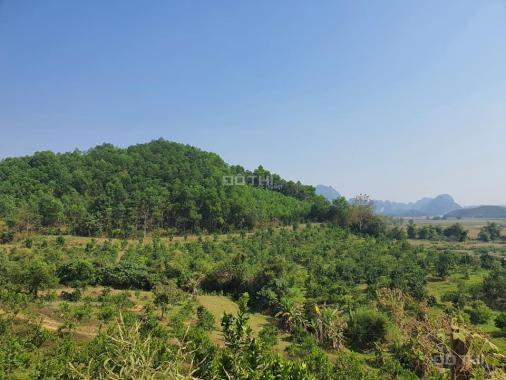 Tọa sơn view Serena Resort vẻ đẹp không nói nên lời, bán đất Kim Bôi, Hòa Bình, hơn 3 ha