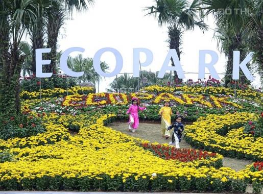 Bán căn hộ tại Ecopark Văn Giang nhận chiết khấu từ CĐT