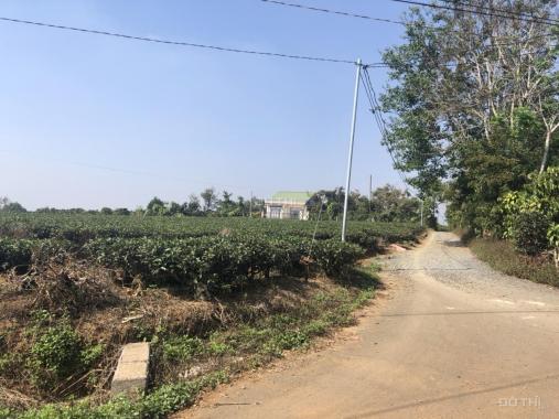 Chính chủ cần bán 1,8ha đất mặt tiền đường nhựa, Lộc Nga, Tp bảo Lộc, tỉnh Lâm Đồng