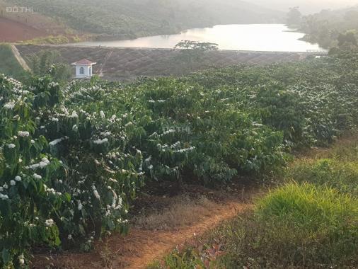 Chính chủ bán 3000m2 đất, đang trồng cà phê và Macca, View Hồ, thổ cư 400m2