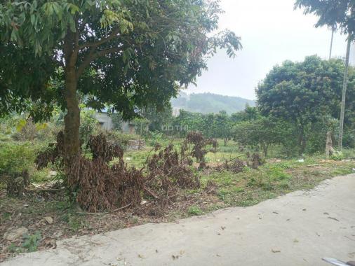 Cần bán 1.500m2 đất thổ cư bám mặt đường liên xã tại Lương Sơn, Hòa Bình