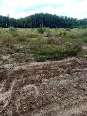 Chính chủ cần bán lô đất tại xã Tân Hiệp, Phú Giáo, Bình Dương