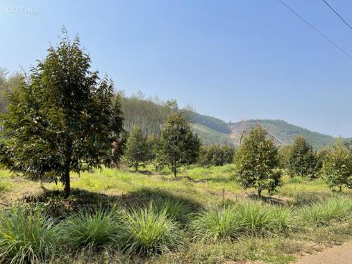 Chính chủ bán lô đất trồng cây ăn qủa Đoàn Kết Đạ Huoai, Lâm Đồng