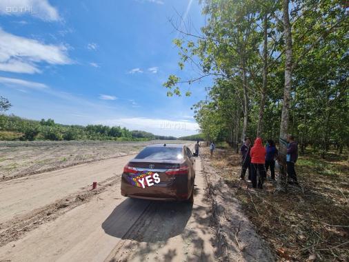 Bán đất Dầu Tiếng - Đất gần trường tiểu học Định An Dầu Tiếng, Bình Dương giá rẻ 17x65m, 550tr