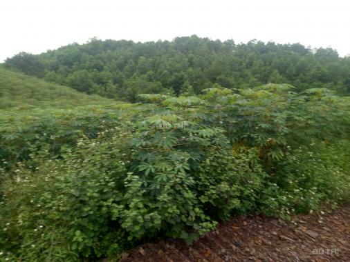 Chuyển nhượng 10 ha đất mặt đường cao tốc tại xã Quang Tiến, huyện Kỳ Sơn, tỉnh Hòa Bình