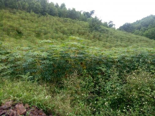 Chuyển nhượng 10 ha đất mặt đường cao tốc tại huyện Kỳ Sơn, tỉnh Hòa Bình