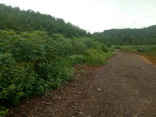 Chuyển nhượng 10 ha đất mặt đường cao tốc tại huyện Kỳ Sơn, tỉnh Hòa Bình