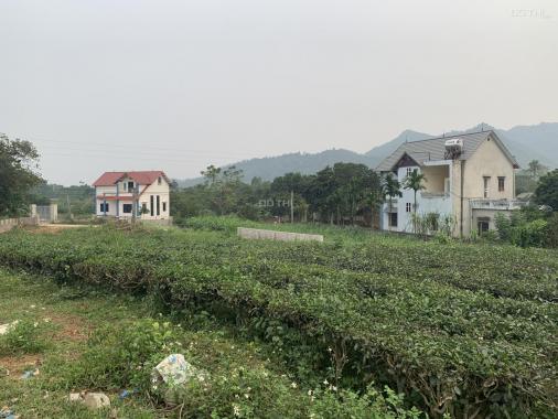 Bán đất tại đường Yên Bình, Xã Yên Bình, Thạch Thất, Hà Nội diện tích 10.235m2 giá 6 tỷ