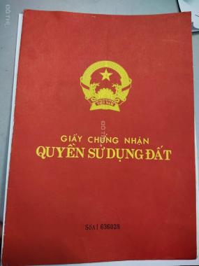 Bán đất tại Vân Trường, Tiền Hải, Thái Bình