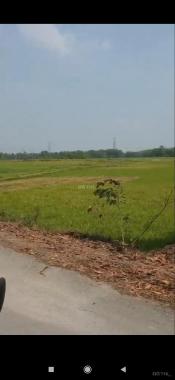 Bán đất mặt tiền đường nhựa xã Phước Vĩnh An, Củ Chi diện tích 5,3 ha