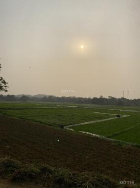 Chính chủ gửi bán lô đất 656m2 view cánh đồng đẹp tại Cổ Đông