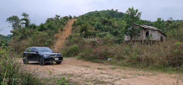 Cơ hội sở hữu cho các nhà đầu tư 30ha đất rừng sản xuất rẻ đẹp tại Kỳ Sơn, Hòa Bình