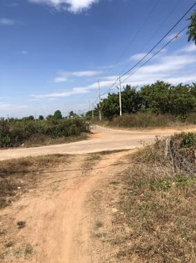 CC bán đất tại Xã Phú Thanh, Tân Phú, Đồng Nai diện tích 44000m2 giá 7,3 tỷ