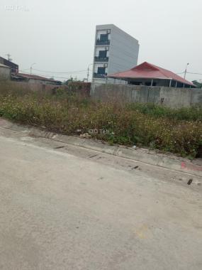 Bán đất tại gần Đại Lộ Thăng Long, Xã Lại Yên, Hoài Đức, Hà Nội diện tích 66m2 giá 46 triệu/m2