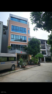 Bán nhà liền kề ngõ 13 Đường Lĩnh Nam, Phường Mai Động, Hoàng Mai, Hà Nội diện tích 71m2