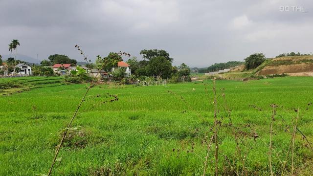 Bán đất Lương Sơn diện tích 2.3ha view cánh đồng