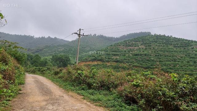 Cần chuyển nhượng 17ha đất nghỉ dưỡng đầu tư siêu đẹp tại xã Cao Sơn, Lương Sơn