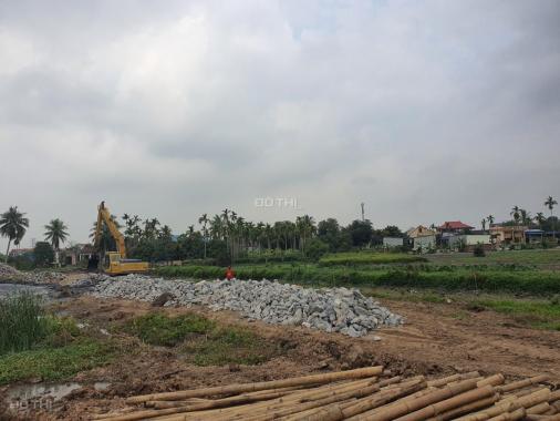 Chính chủ cần bán đất thôn Hoàng Lâu, xã Hồng Phong, Huyện An Dương, TP Hải Phòng
