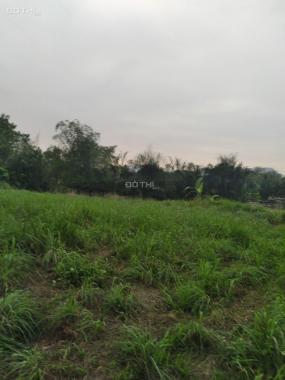 Bán 1384m2 đất thổ cư bám đường Phan Đình Giót tại Nhuận Trạch, Lương Sơn, Hòa Bình