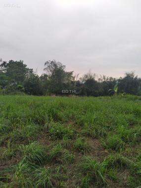 Bán 1384m2 đất thổ cư bám đường Phan Đình Giót tại Nhuận Trạch, Lương Sơn, Hòa Bình