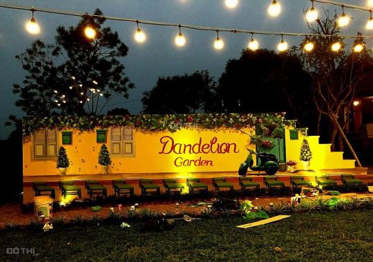 Chuyển nhượng một bức tranh thiên nhiên có tên gọi Dandelion Garden