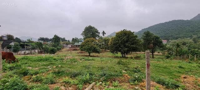 Bán đất xã Yên Bình, Thạch Thất, Hà Nội, diện tích 2648m2, 2 mặt đường, gần trục chính