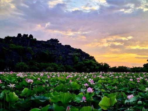 Cần bán đất ở Ninh Xuân, vị trí vô cùng đẹp