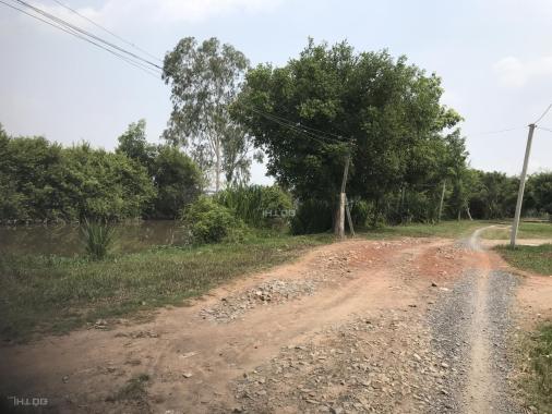 Tôi cần bán đất ruộng gần 1,4 mẫu (14.000m2) giá 5,2 tỷ ngay TT Trảng Bàng, Tây Ninh