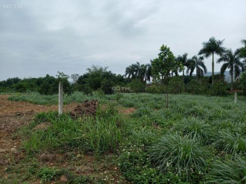 Cơ hội cho các nhà đầu tư lô đất phù hợp phân lô tại Hòa Sơn, Lương Sơn, Hòa Bình diện 7137m2