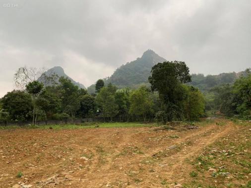 Cần bán gấp lô đất nghỉ dưỡng view núi siêu đẹp tại Lương Sơn - Hoà Bình