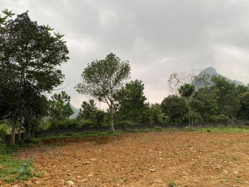 Cần bán gấp lô đất nghỉ dưỡng view núi siêu đẹp tại Lương Sơn - Hoà Bình