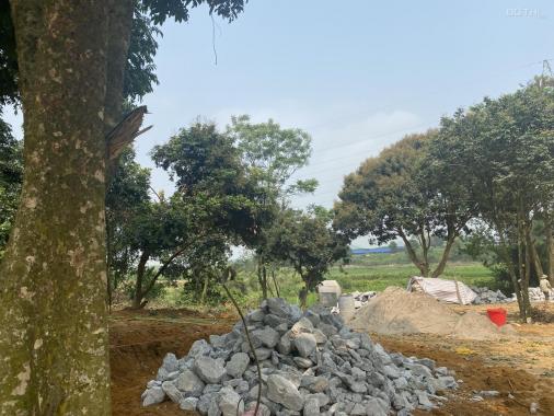 Tuyệt đẹp lô đất 1531m2 cần tìm nhà đầu tư tại Nhuận Trạch, Lương Sơn, Hòa Bình