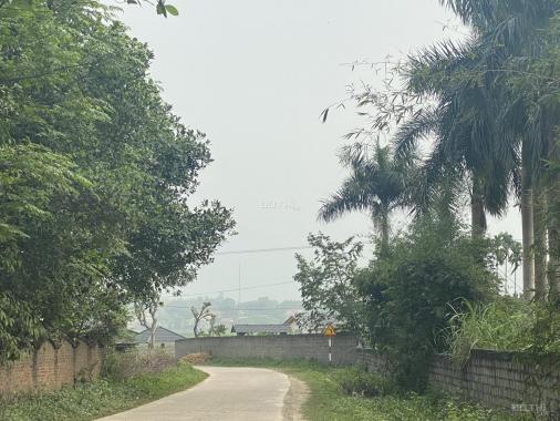 Bán 2000m2 đất mặt đường Liên Xã, Nhuận Trạch, Lương Sơn