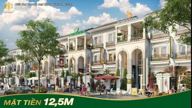 Shop villas cạnh chung cư Xuân Mai - Khu đô thị Đông Hương