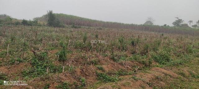 Cần bán nhanh đất nghỉ dưỡng tại Cao Phong full thổ cư giá chỉ hơn 500 nghìn/m2