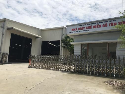Ngân hàng phát mại nhà xưởng và thiết bị máy móc tại huyện Tân Sơn, Phú Thọ giá cực rẻ