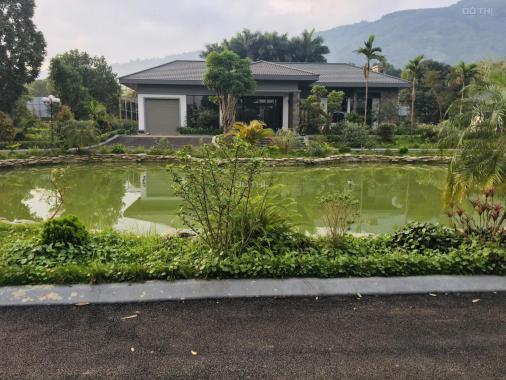 Cần sang nhượng 5200m2 biệt thự nhà vườn siêu đẹp tại Lương Sơn, Hòa Bình