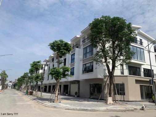 Chính chủ bán nhà phố kinh doanh đường chính đại lộ ánh sáng dự án Ecopark Hải Dương