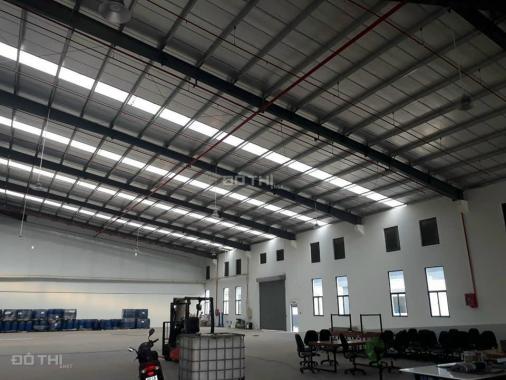 Cho thuê bãi, kho xưởng trong và ngoài khu chế xuất Tân Thuận Q7 giá từ 70,000đ/m2