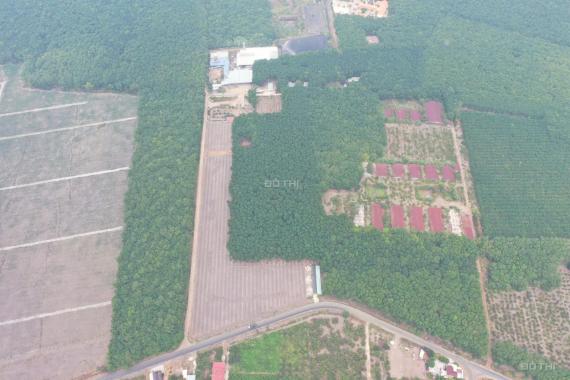 Chính chủ cần bán đất mặt tiền tại Bình Phước giá 710 - 800tr. LH 0971311081