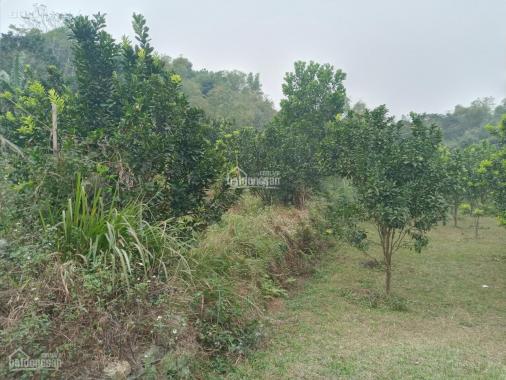 Bán đất phù hợp làm nhà vườn nghỉ dưỡng tại Lương Sơn, Hòa Bình, diện tích 4000m2
