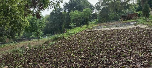 Cần bán 2796m2 đất thổ cư phù hợp làm nhà vườn đẹp tại Lương Sơn, Hòa Bình