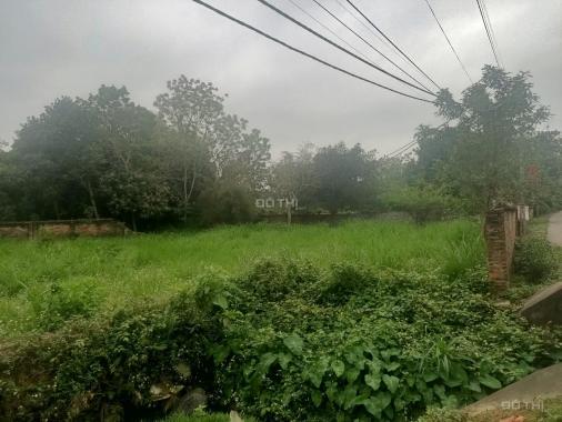 Cần bán diện tích 800m2 có 120m2 đất thổ cư còn lại vườn tiểu khu thị trấn Lương Sơn