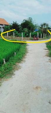 Chính chủ bán lô đất 186m2 Xã Phước Hiệp, Huyện Tuy Phước, Bình Định