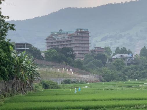 Bán gấp 2800m2 đất thổ cư view cánh đồng tuyệt đẹp tại Hòa Sơn, Lương Sơn, Hòa Bình