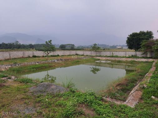 Cần bán 4848m2 đất thổ cư đẹp như bức tranh làng quê yên bình tại Lương Sơn, Hòa Bình