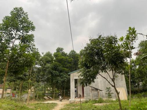 Bán nhanh 3000m2 đất thổ cư giá siêu rẻ tại Lương Sơn, Hòa Bình