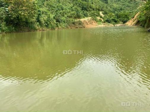 Bán 40ha đất rừng sản xuất Kim Bôi có hồ làm du lịch